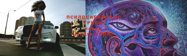 ГАЛЛЮЦИНОГЕННЫЕ ГРИБЫ Арсеньев