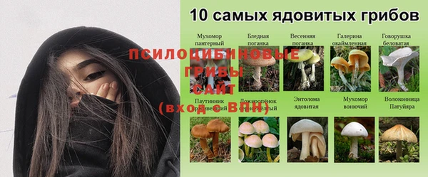 ГАЛЛЮЦИНОГЕННЫЕ ГРИБЫ Арсеньев