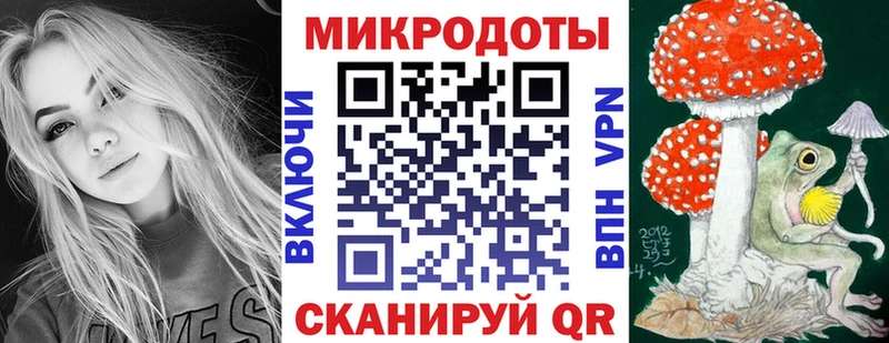 Псилоцибиновые грибы Psilocybe  Верея 